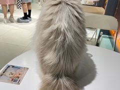 -怪兽屋·羊驼·猫咖·狗咖(俊华广场店)