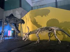 -湖南省地质博物馆