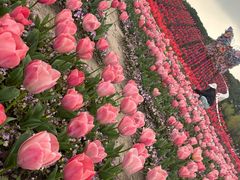 -上海鲜花港
