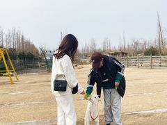 -前小桔亲子创意农场·草莓采摘·露营烧烤