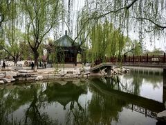 -大唐贡茶院