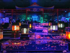 -上海环球金融中心云端足球盛典