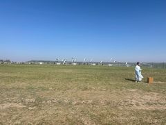 -盐城丹顶鹤湿地生态旅游区