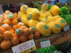 -百果园PAGODA(应元路店)