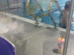 -空中健身·游泳(季佳荟新华家园店)