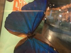 -墨尔本博物馆(Melbourne Museum)