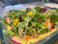 藜麦沙拉-苦尽酒馆·川菜(鼓楼店)