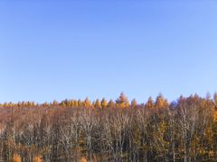 -塞罕坝国家级自然保护区