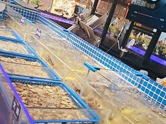 -锅儿欢海鲜火锅烤肉自助餐(东港凯虹店)