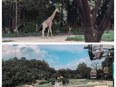 -广州长隆旅游度假区