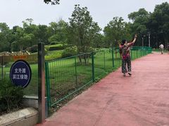 -北外滩滨江绿地