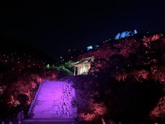 -印象普陀