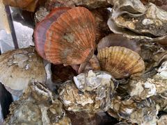 -宾朋海鲜特色美食餐厅·纯手工鲅鱼水饺(兴海路店)