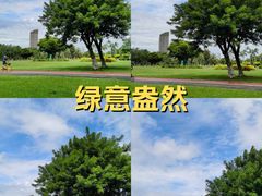 -万绿园