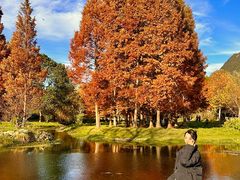 -贵阳市花溪国家城市湿地公园