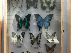 -大连自然博物馆·地球展厅