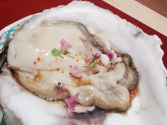 -橼舍鮨青木