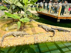 -石家庄市动物园