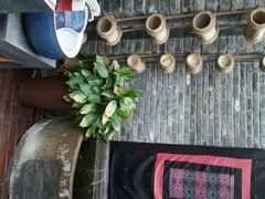 android_upload_pic-松茸小馆·云南特色餐厅