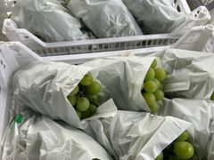 -马陆小张葡萄园农家乐