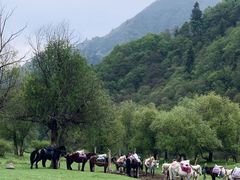 -兰州吐鲁沟国家森林公园