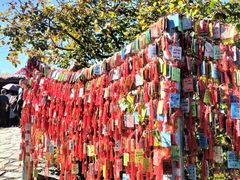 -香山公园