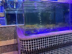 -青蓬蒸汽海鲜·深圳老字号·团建聚会(壹方城店)