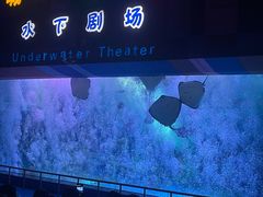 -泉城欧乐堡海洋极地世界