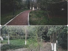 -金鸡湖桃花岛