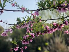 -狼山风景名胜区