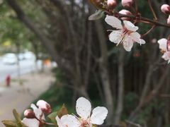 -美兰湖景区