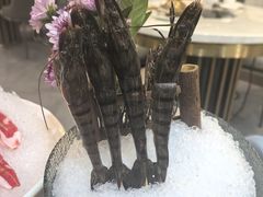 -喜聚薈·花膠雞海鮮火鍋(越秀店)