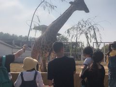 -临沂动植物园