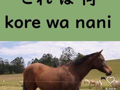 -学习谷日语培训日本留学·多语种外语教学(海淀人大分部)