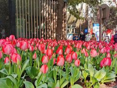 -杭州市第一人民医院(湖滨院区)