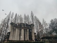 -音乐台