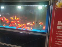 -臻享养生·SPA·影院式足道(汇臻店)