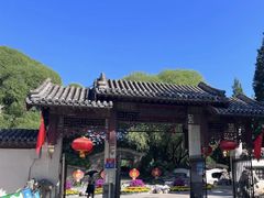 -团结湖公园