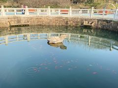 -白马涧龙池景区