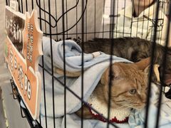 -万达广场(太原街店)