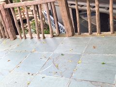 -观澜山水田园