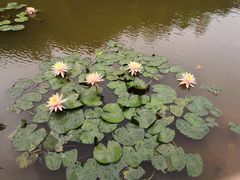 -云溪植物园