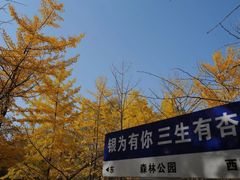 -森林公园(尖草坪区)
