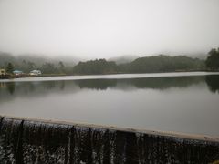 -海南热带雨林国家公园吊罗山景区