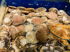 -高佳庄·舟山海鲜(海景旗舰店)