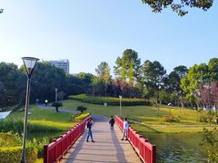 -美兰湖景区