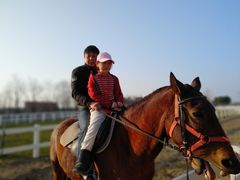 -杭州湾海上花田景区