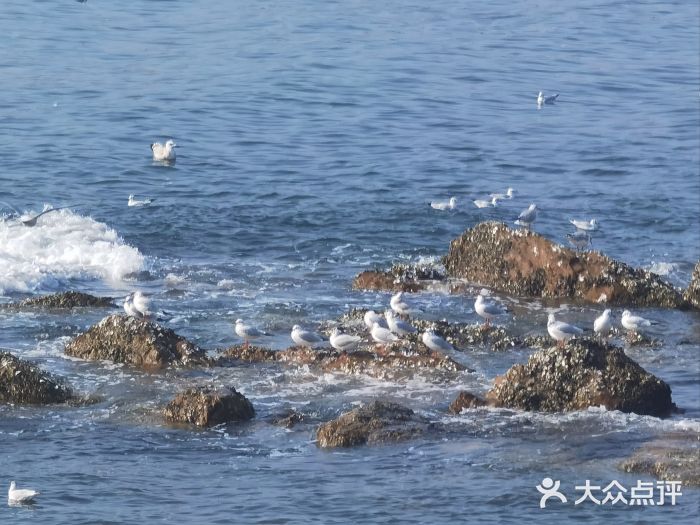栈桥景区图片