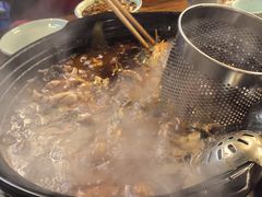 -金海椒罐罐鲢鱼(东方桂苑店)