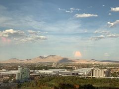 -拉斯维加斯永利酒店